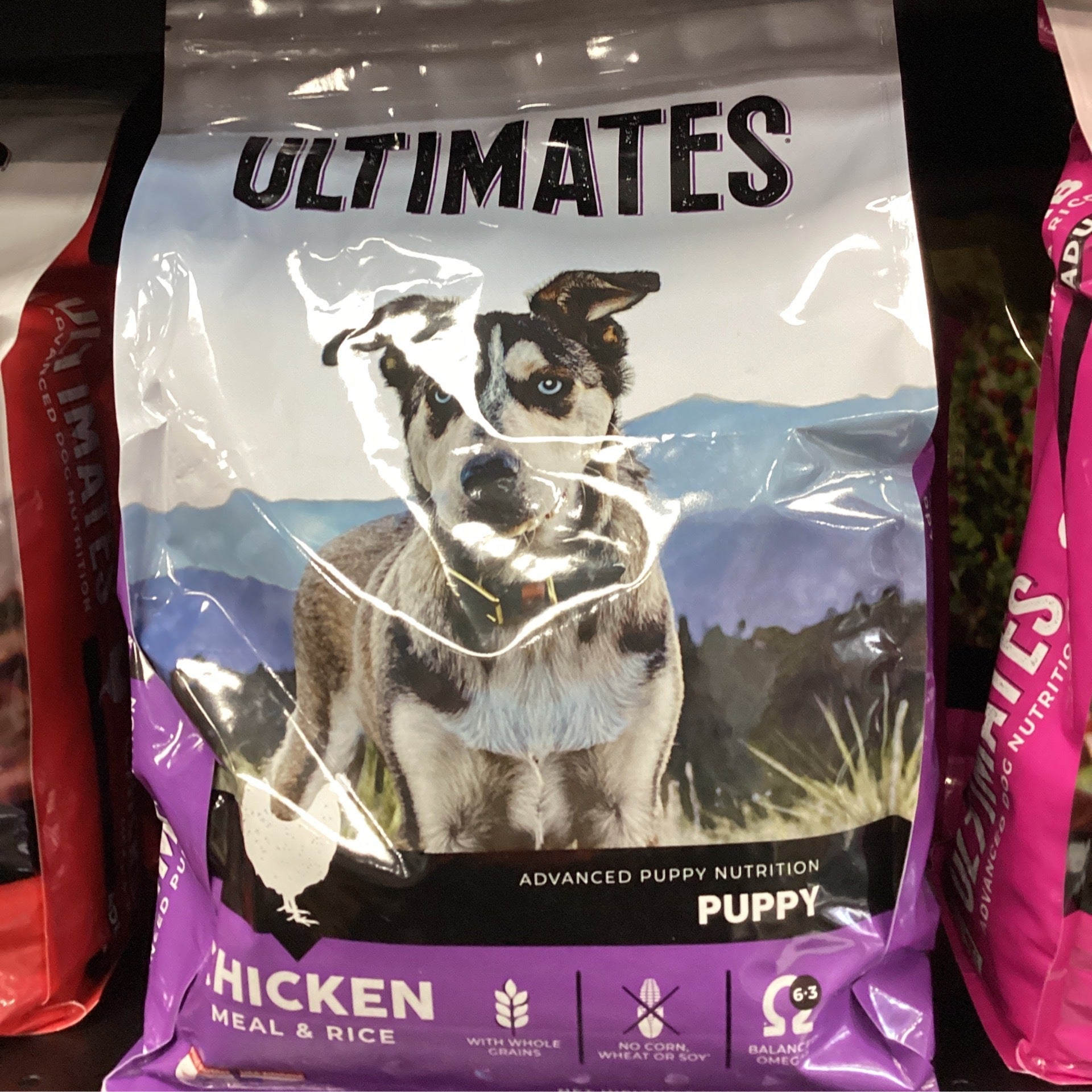 Ultimates Grain Free Bayside Select Dog Food 28lbs Patriot Pet Supply